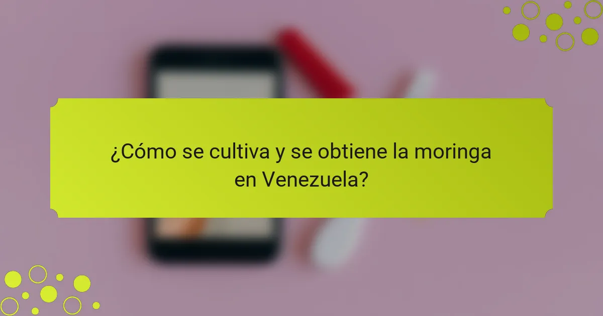 ¿Cómo se cultiva y se obtiene la moringa en Venezuela?
