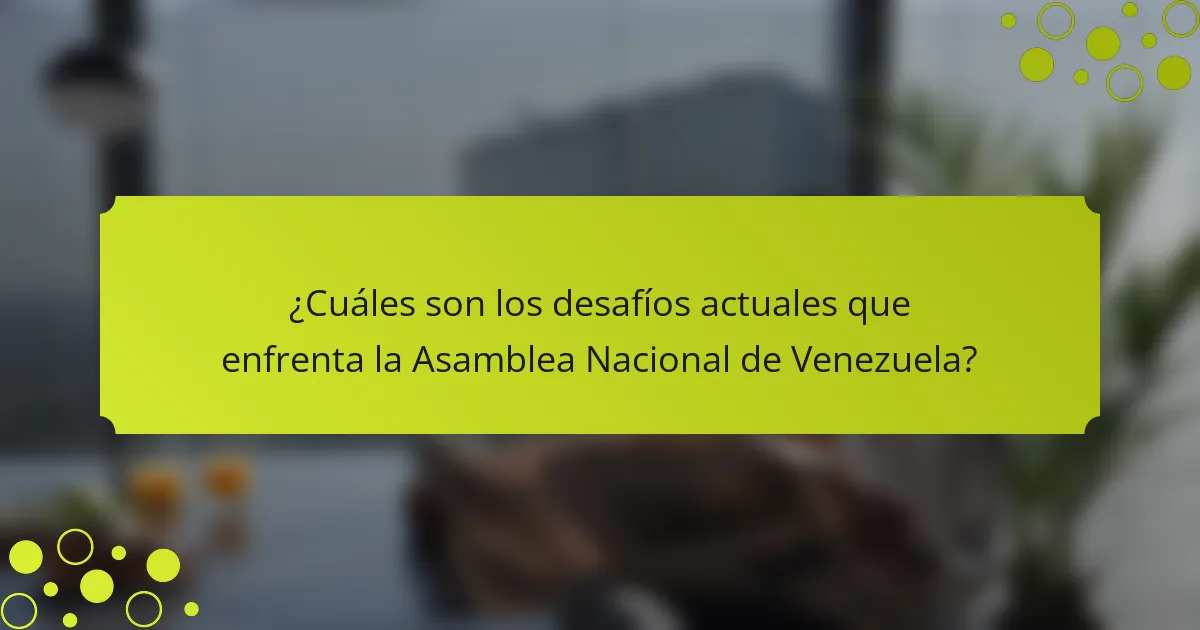 ¿Cuáles son los desafíos actuales que enfrenta la Asamblea Nacional de Venezuela?