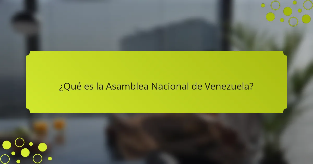 Análisis de la Asamblea Nacional de Venezuela: funciones, miembros y desafíos actuales